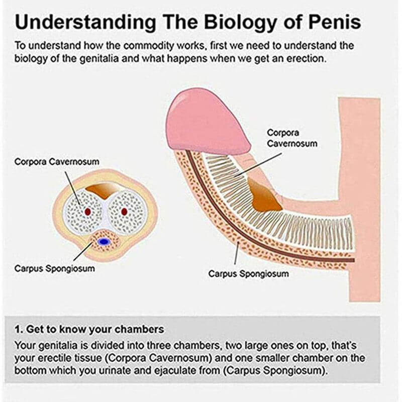 2in1 Multiple Vibrating Modes Moaning Men Masturbator Penis Pump Male sex toy