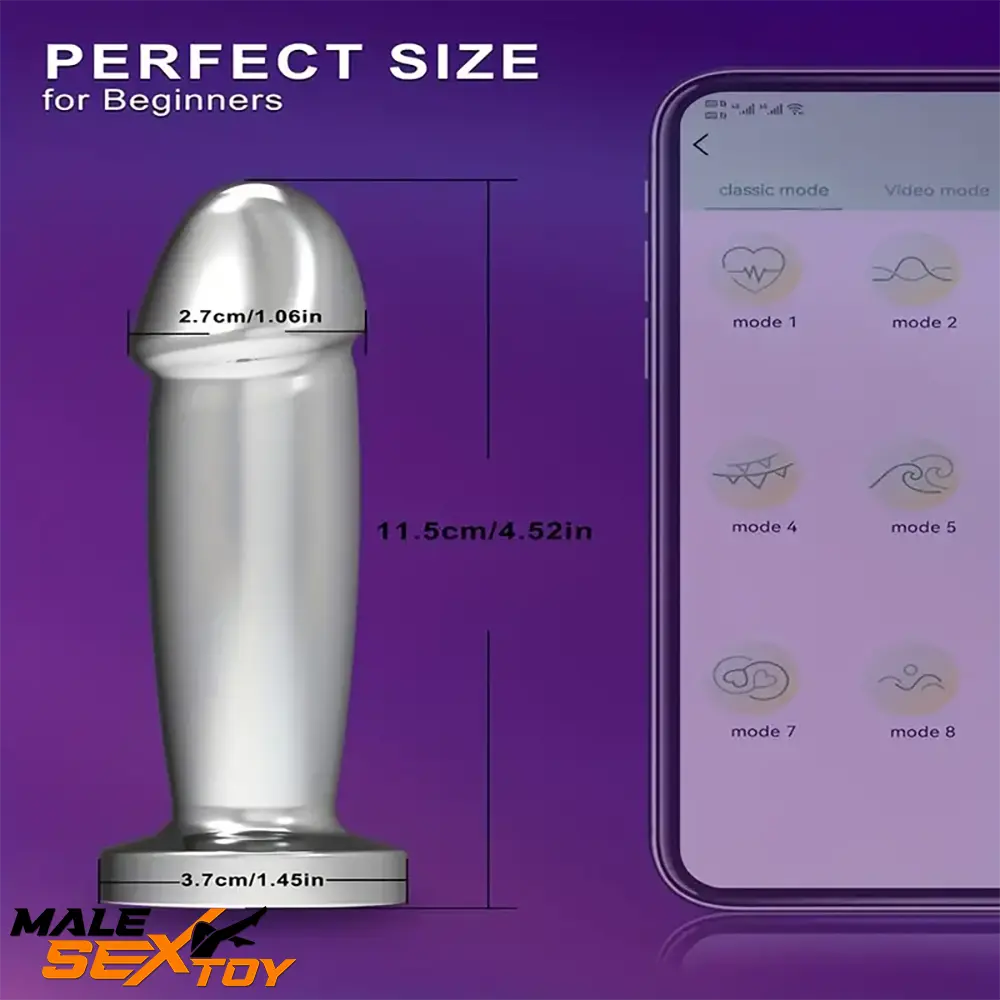 4.52in Stainless Steel Vibrating App Remote Control Dildo For Women Male Sex Toy